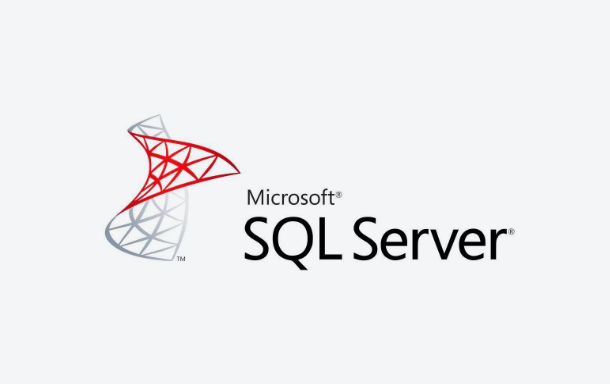 9FS+SQLserver——Focus Search data search and analysis engine